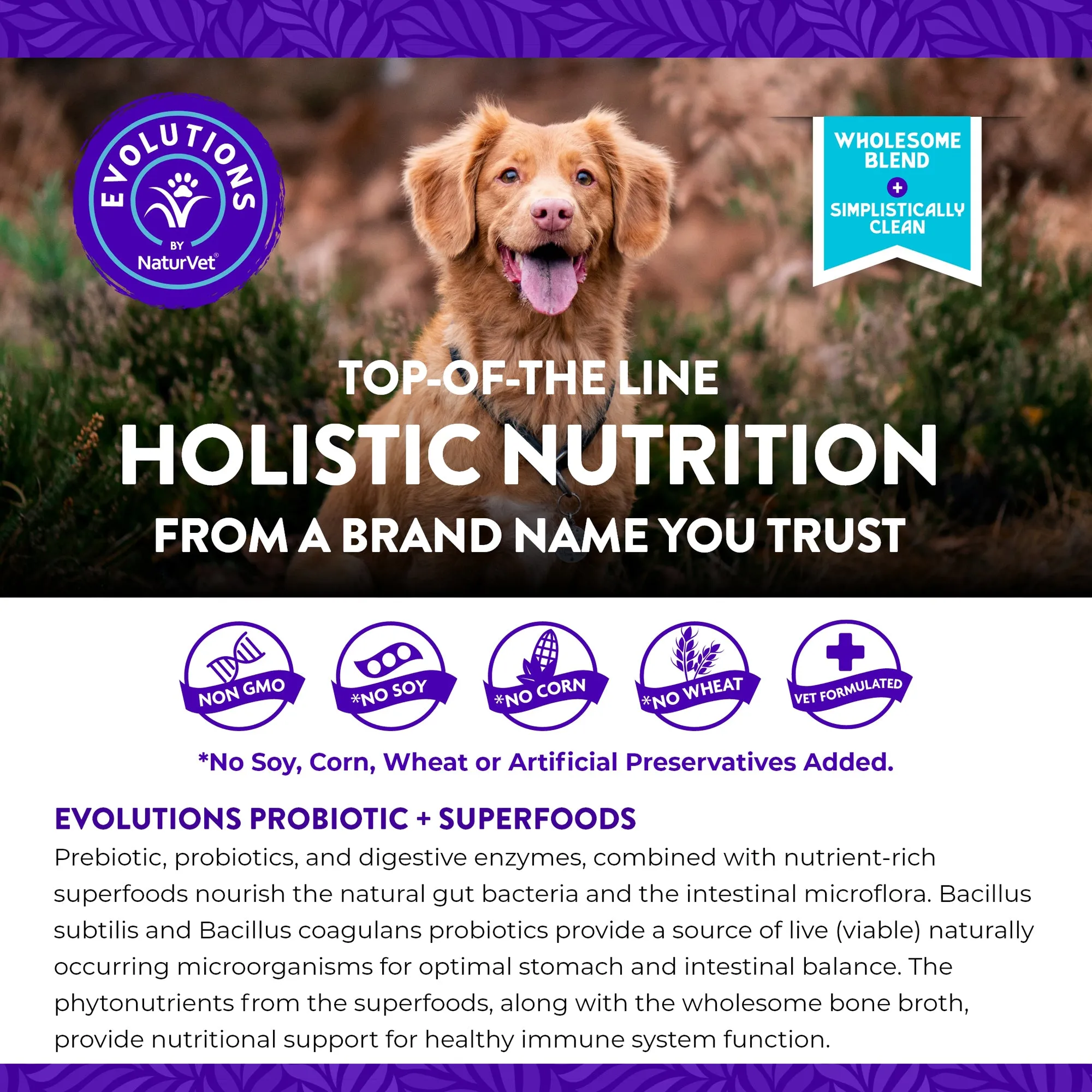 Evolutions - Probiotic   Superfoods Sachet