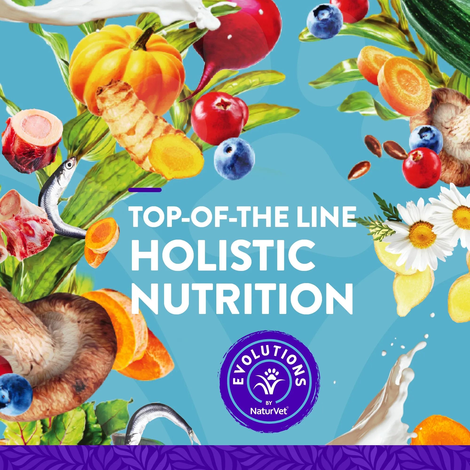 Evolutions - Probiotic   Superfoods Sachet