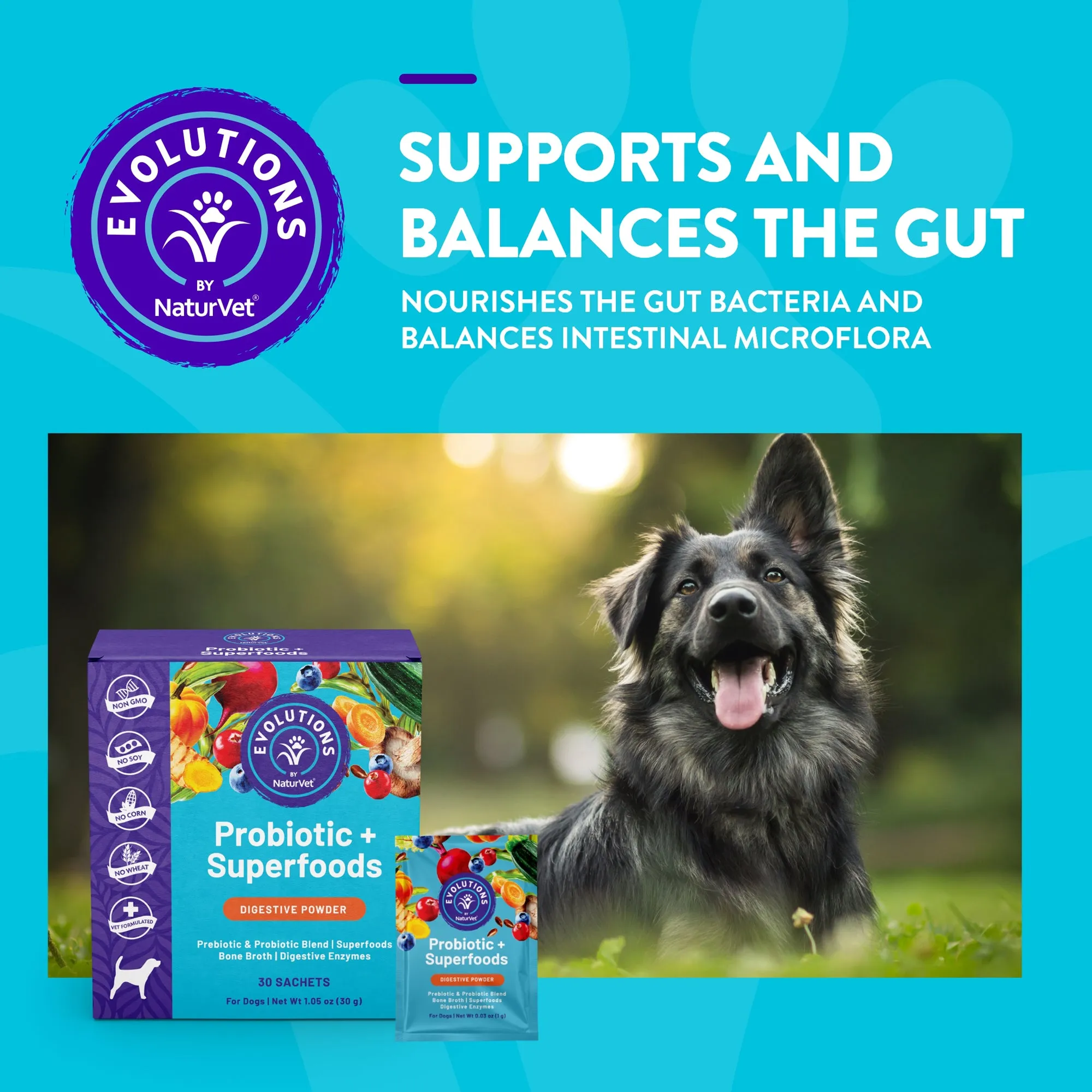Evolutions - Probiotic   Superfoods Sachet