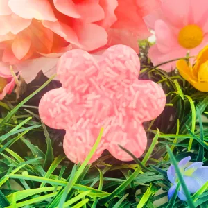 FULL BLOOM Shampoo   Conditioner Combo Bar
